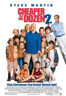 Cheaper by the Dozen 2 (2005) ครอบครัวเหมายกโหลถูกกว่า ภาค 2