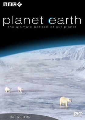 Planet Earth 6 Ice Worlds มุ่งสู่แดนน้ำแข็ง