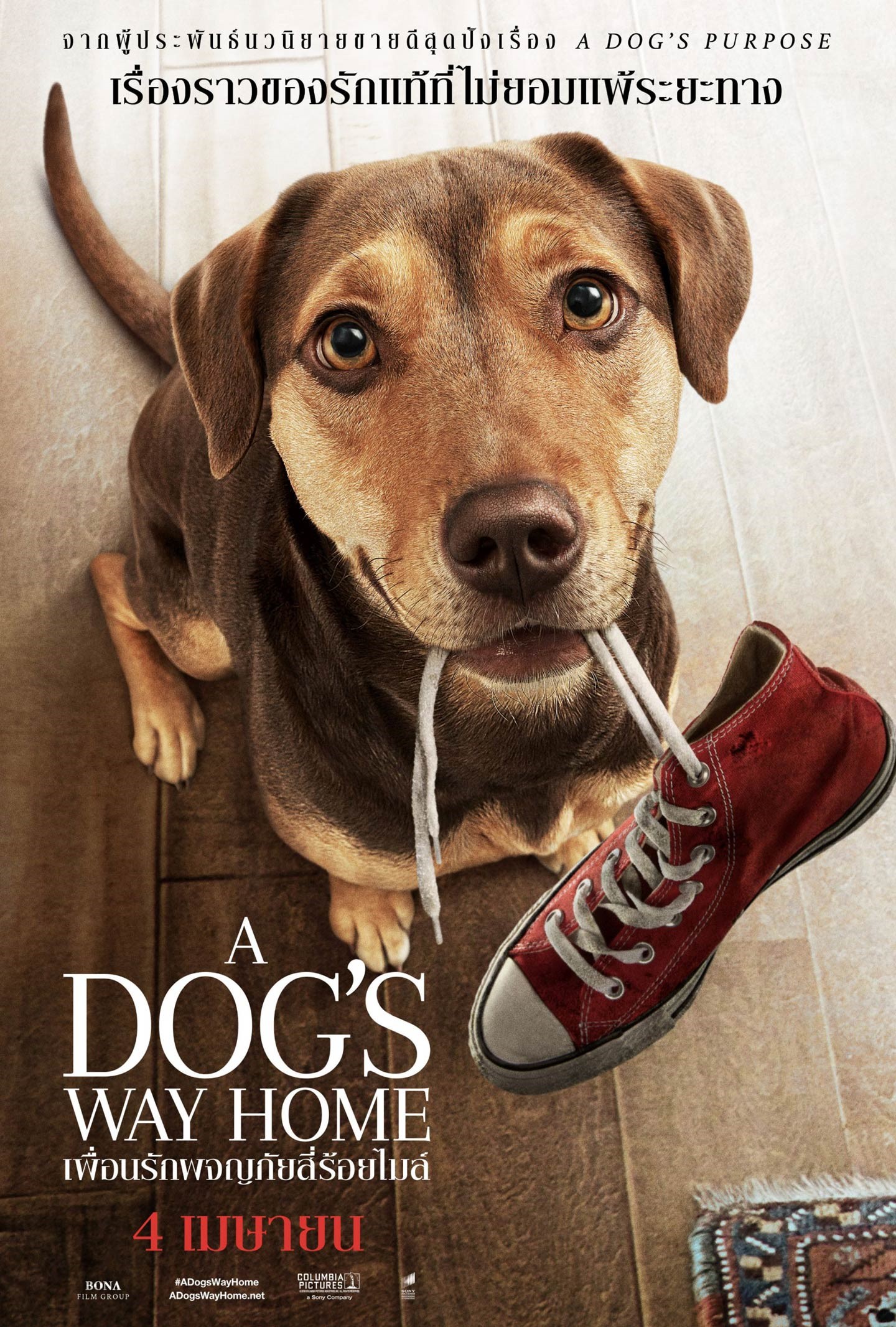 A Dog s Way Home (2019) เพื่อนรักผจญภัยสี่ร้อยไมล์