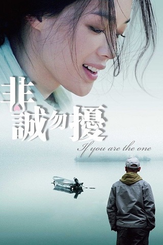 If You Are the One (Fei cheng wu rao) (2008) ผิดรักหัวใจหลงลึก