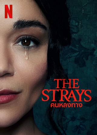 The Strays | Netflix (2023) คนหลงทาง
